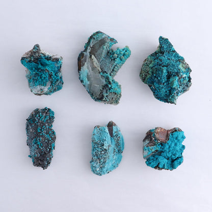 Chrysocolla on Quartz Roughs Set of 6