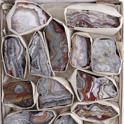 Crazy Lace Agate Flat of 15