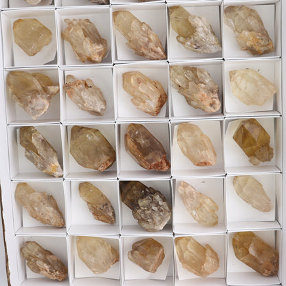 Congo Citrine Set of 35