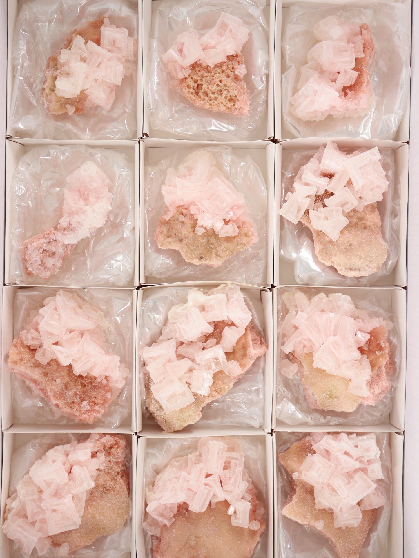 Halite Flat Set of 12 - Expert Wholesale and Supplier of Wholesale Crystals & Bulk Gemstones, []