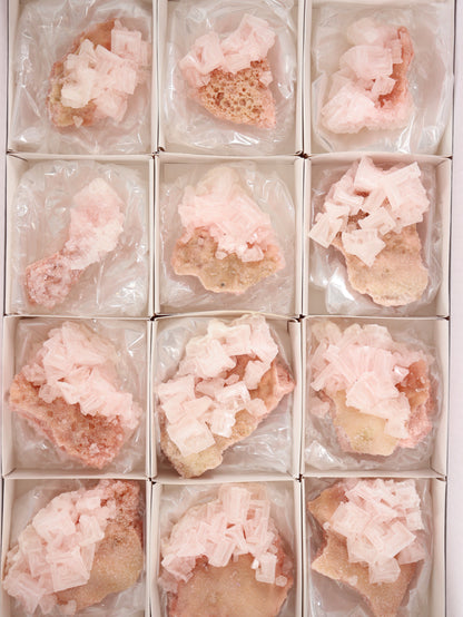 Halite Flat Set of 12 - Expert Wholesale and Supplier of Wholesale Crystals & Bulk Gemstones, []
