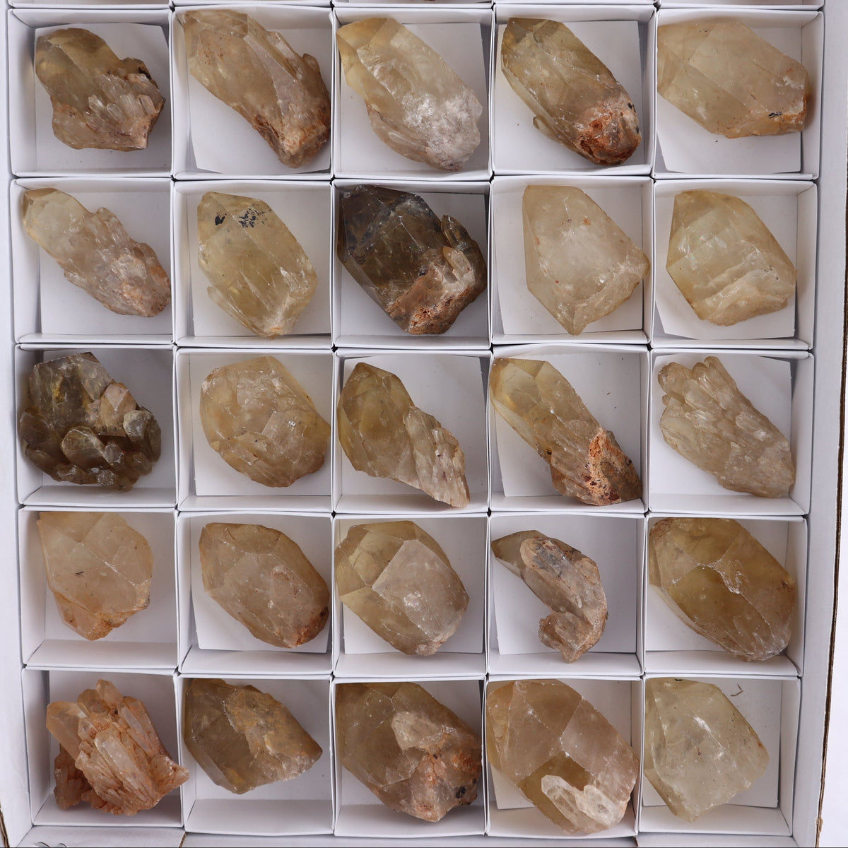 Congo Citrine Set of 35