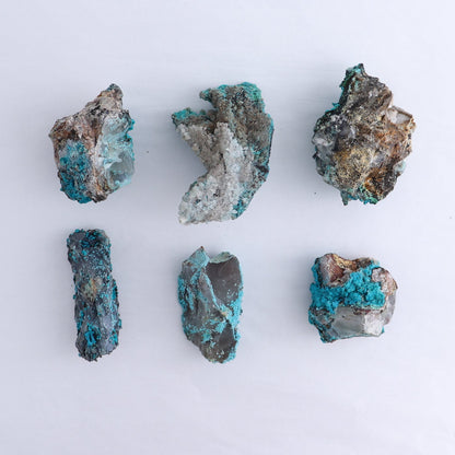 Chrysocolla on Quartz Roughs Set of 6