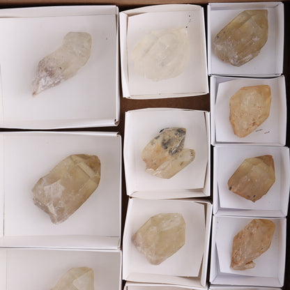 Congo Citrine Set of 12 - Expert Wholesale and Supplier of Wholesale Crystals & Bulk Gemstones, ["Citrine","Congo","Rough","Roughs"]
