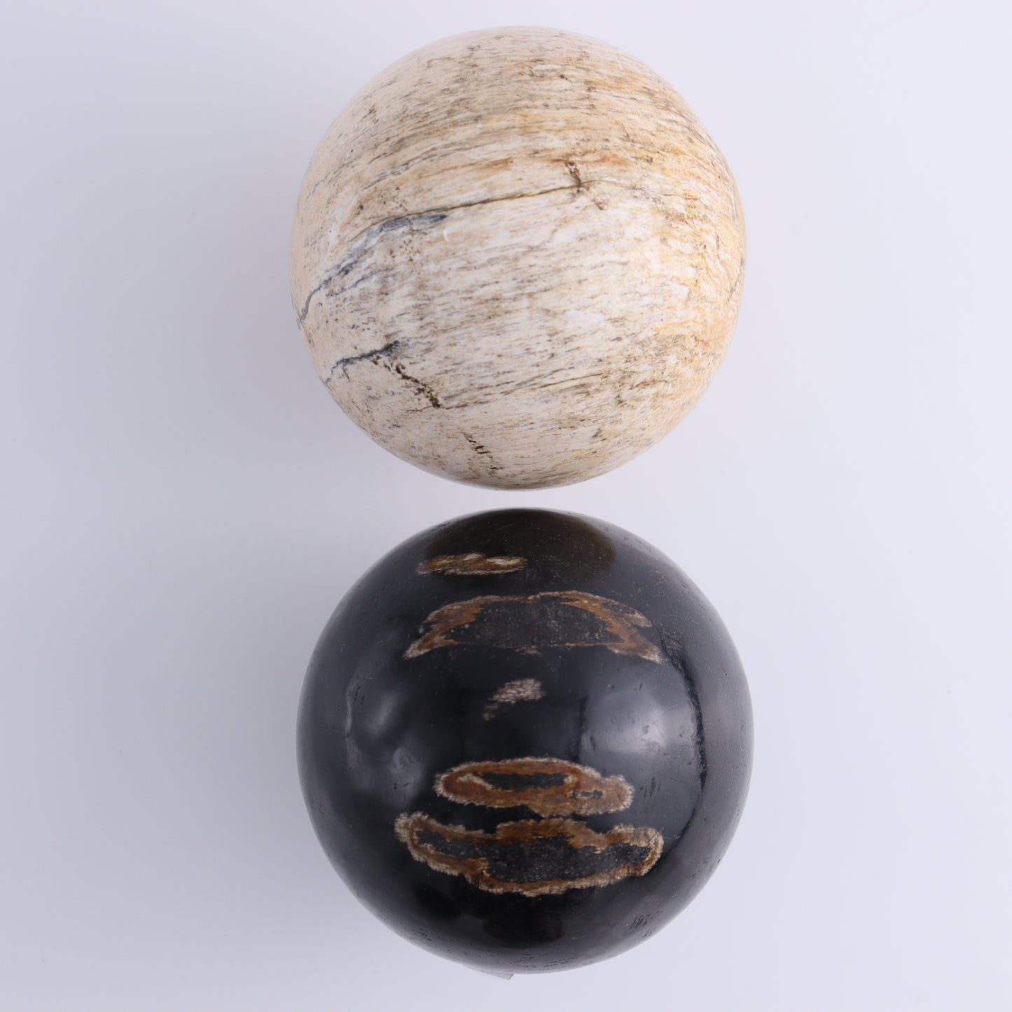 Petrified Wood Spheres Set of 4 - Expert Wholesale and Supplier of Wholesale Crystals & Bulk Gemstones, ["Indonesia","Petrified Wood","Spheres"]