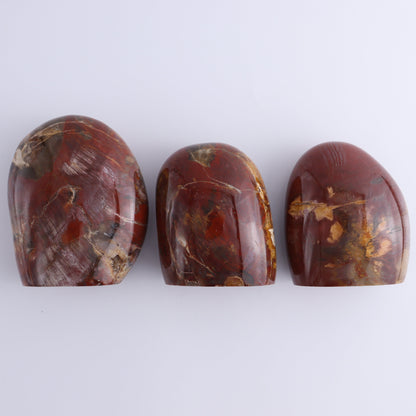 Petrified Wood Freeform Set of 3 - Expert Wholesale and Supplier of Wholesale Crystals & Bulk Gemstones, ["Freeforms","Madagascar","Petrified Wood"]
