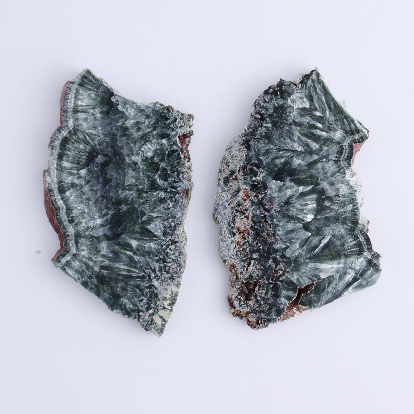 Seraphinite Slices Set of 12 - Expert Wholesale and Supplier of Wholesale Crystals & Bulk Gemstones, ["Russia","Seraphinite","Slices and Slabs"]