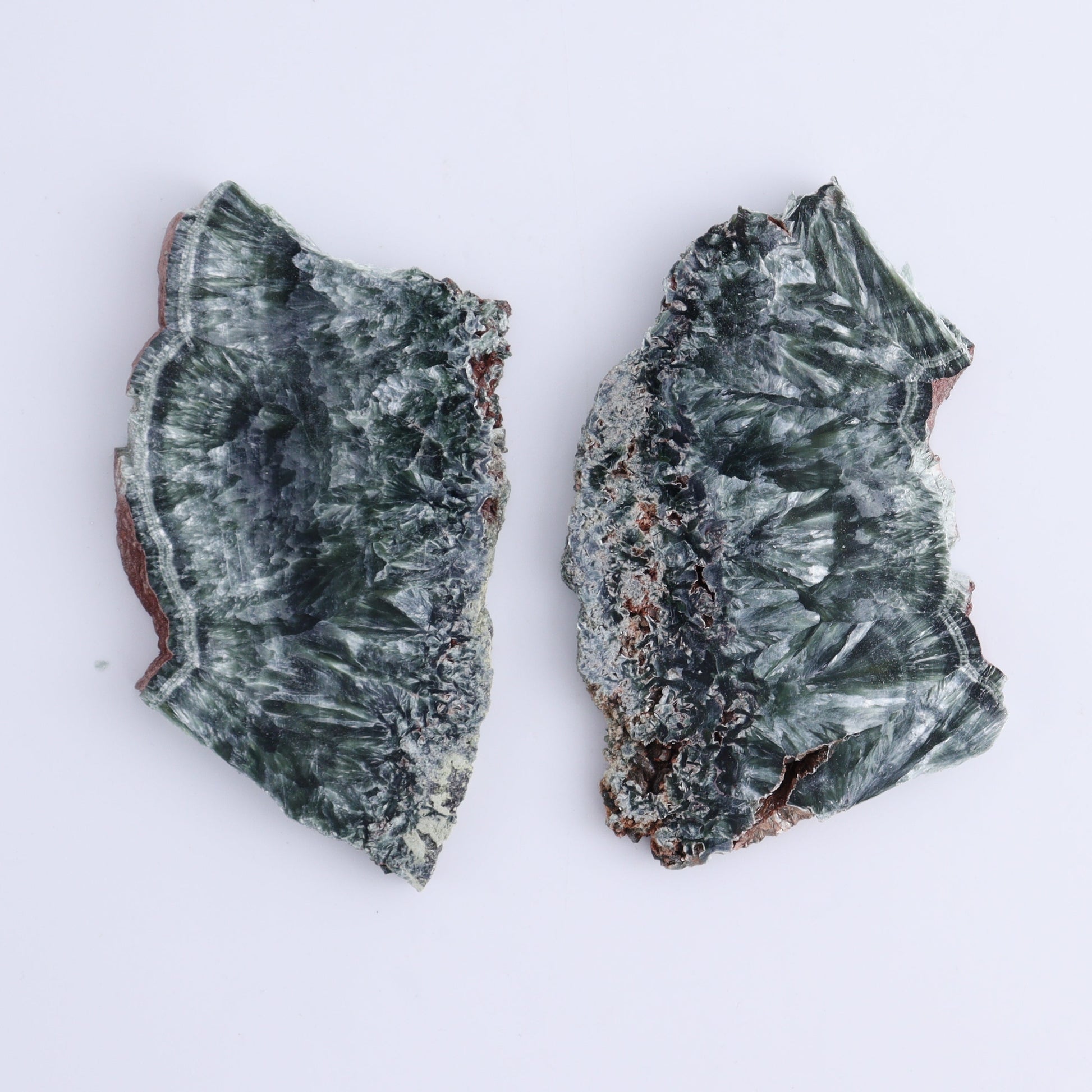 Seraphinite Slices Set of 12 - Expert Wholesale and Supplier of Wholesale Crystals & Bulk Gemstones, ["Russia","Seraphinite","Slices and Slabs"]