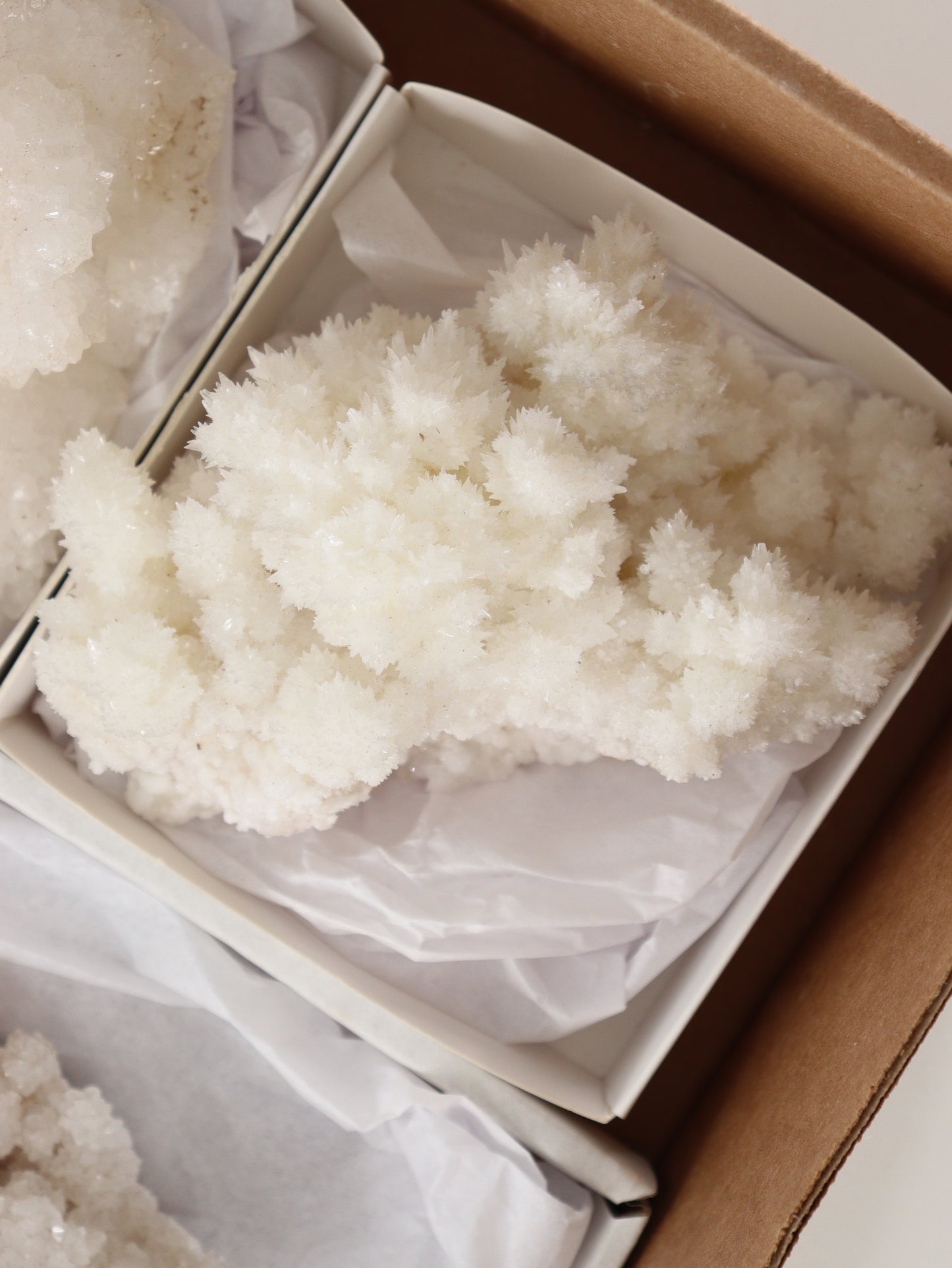 Aragonite Clusters Flat - Expert Wholesale and Supplier of Wholesale Crystals & Bulk Gemstones, []