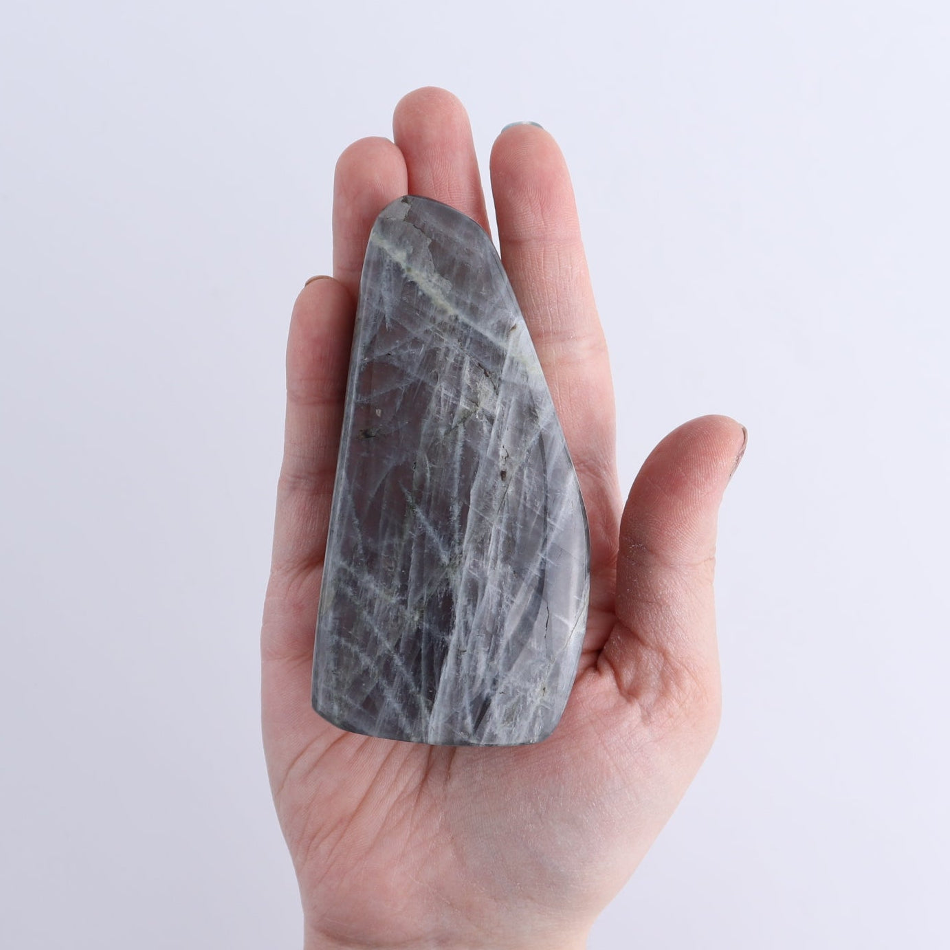 Labradorite Freeform Set of 6