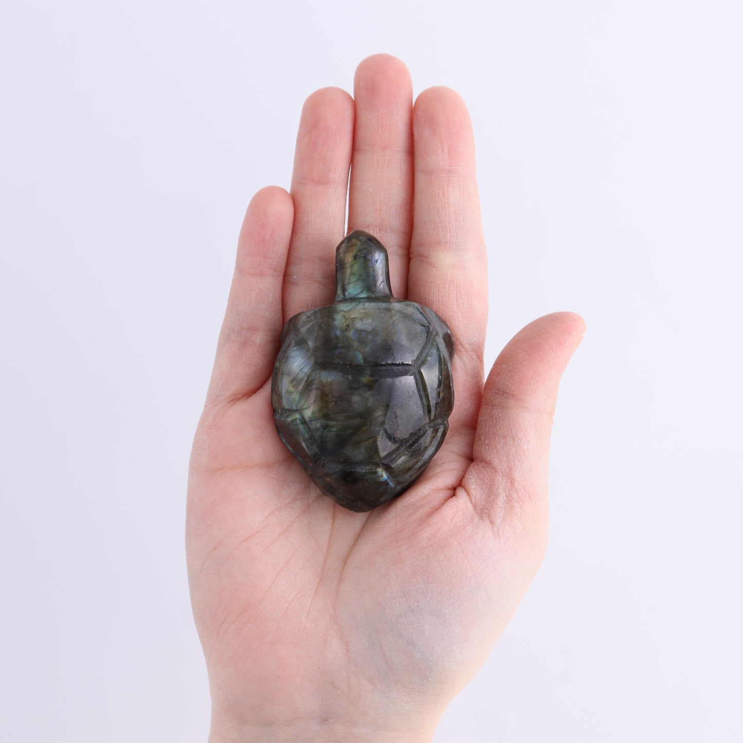 Labradorite Turtles Set of 5
