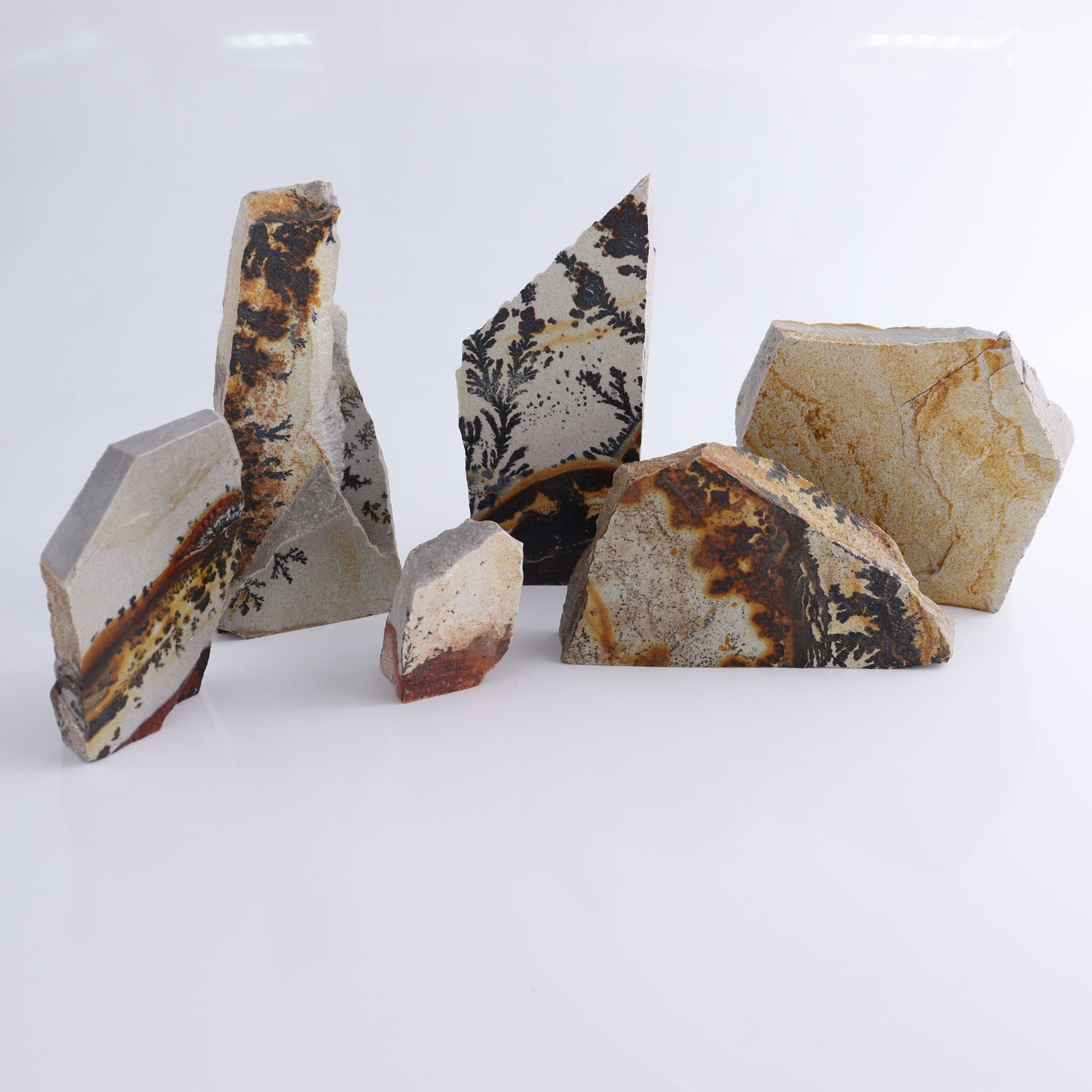 Dendrites Flat Set of 6 - Expert Wholesale and Supplier of Wholesale Crystals & Bulk Gemstones, ["Dendrite","Flats"]