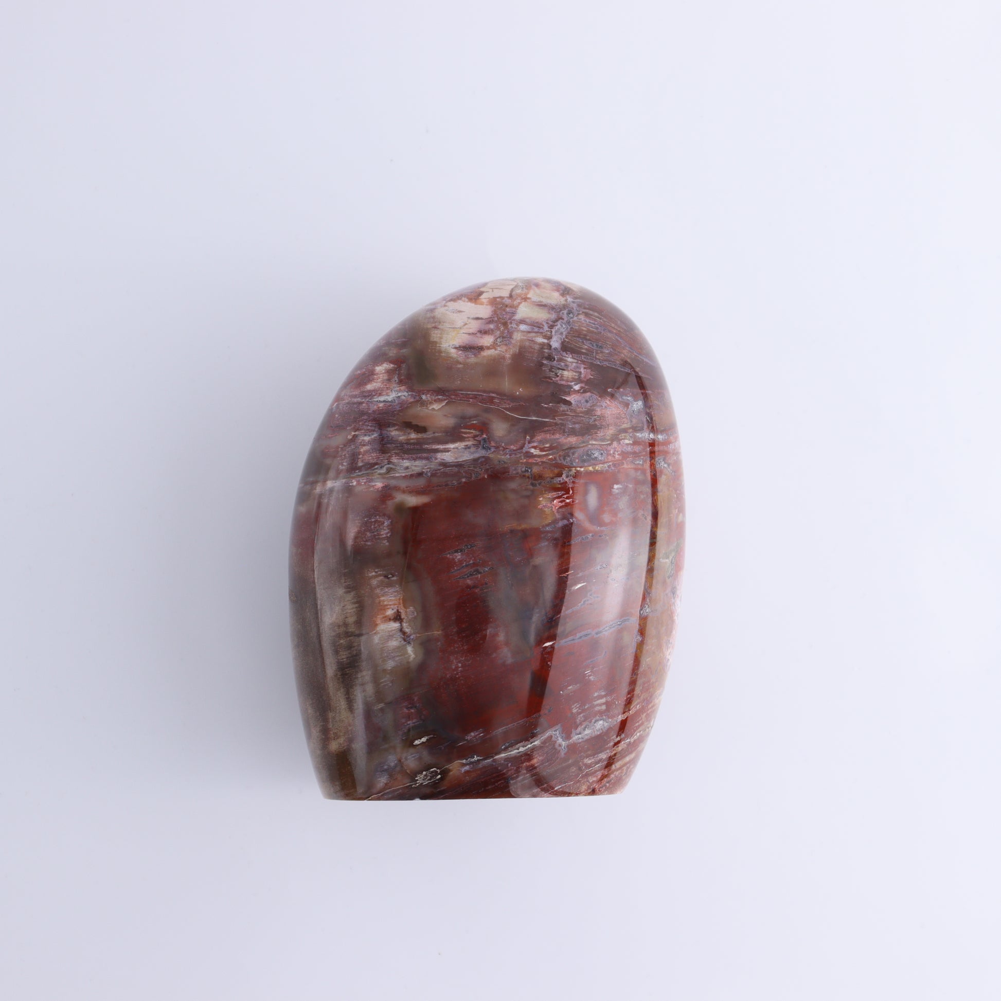 Petrified Wood Freeform Set of 3 - Expert Wholesale and Supplier of Wholesale Crystals & Bulk Gemstones, ["Freeforms","Madagascar","Petrified Wood"]