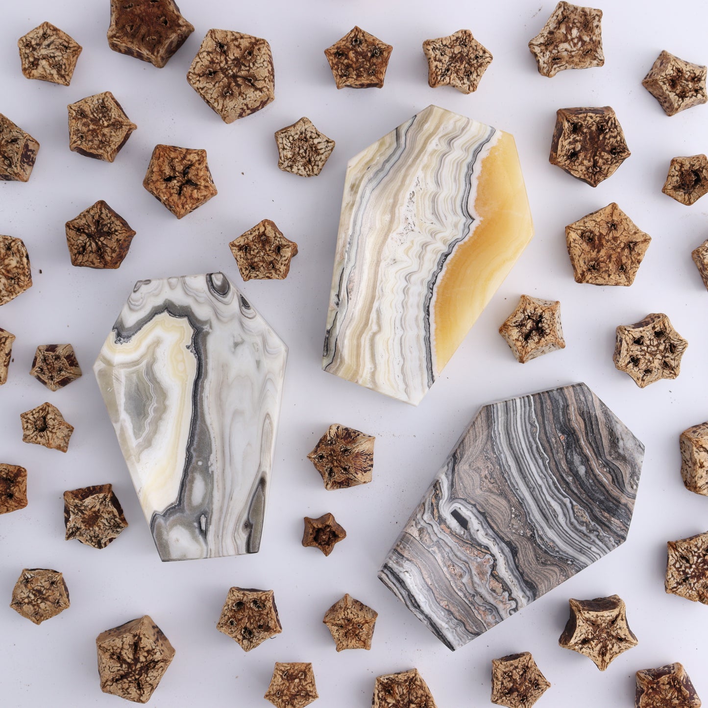 Zebra Onyx Coffin Dish Set of 6 - Expert Wholesale and Supplier of Wholesale Crystals & Bulk Gemstones, ["Coffins","Mexico","onyx","Plates","Zebra Onyx"]