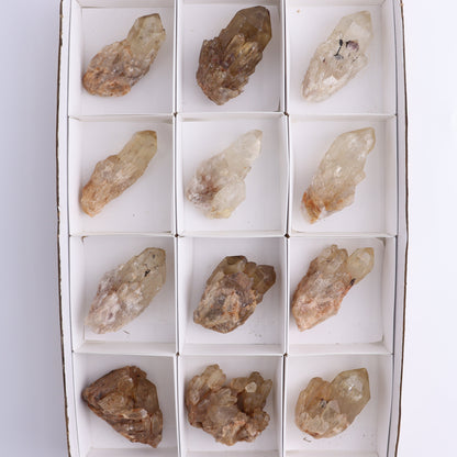 Congo Citrine Set of 12
