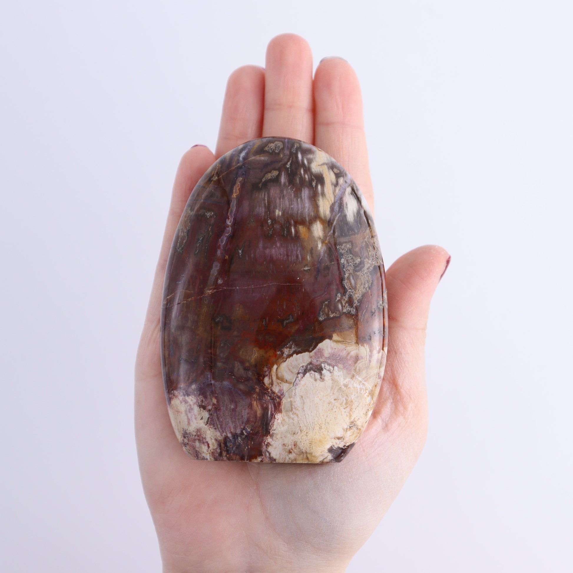 Petrified Wood Freeforms Set of 6 - Expert Wholesale and Supplier of Wholesale Crystals & Bulk Gemstones, ["Freeform","Freeforms","Madagascar","Petrified Wood"]