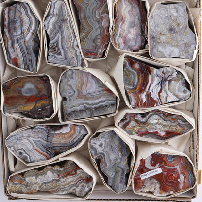 Crazy Lace Agate Flat of 15