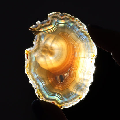 Iris Agate Slices Set of 8 - Expert Wholesale and Supplier of Wholesale Crystals & Bulk Gemstones, ["Agate","Iris Agate","Slices and Slabs"]