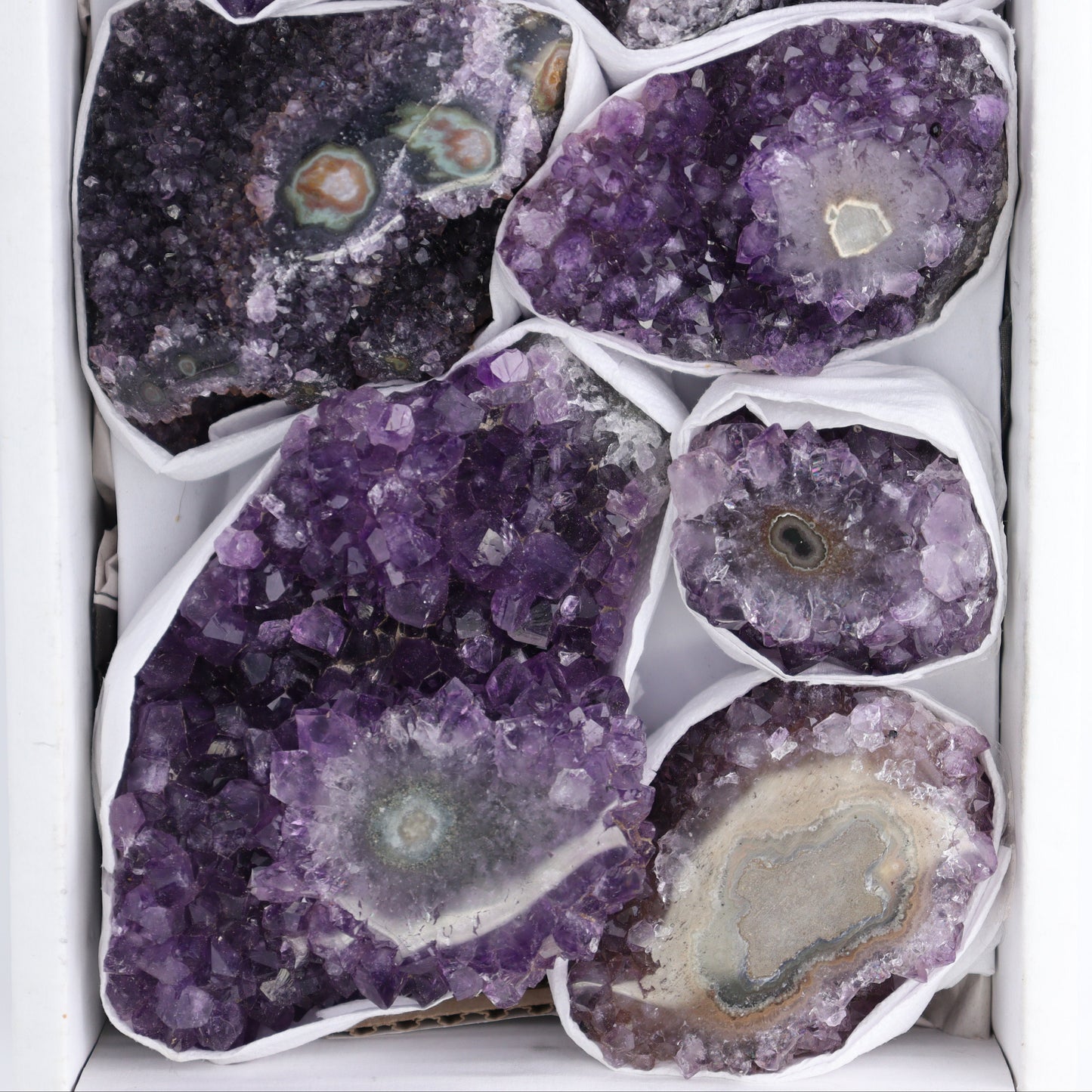 Uruguay Amethyst Clusters with "Eyes" Flat of 9 - Expert Wholesale and Supplier of Wholesale Crystals & Bulk Gemstones, ["Amethyst","Amethyst Eyes","Clusters","Uruguay"]
