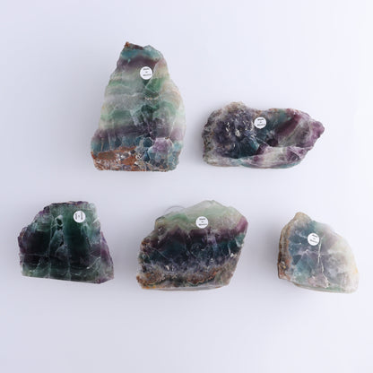 Fluorite Face Polished Set of 5 - Expert Wholesale and Supplier of Wholesale Crystals & Bulk Gemstones, ["Face Polished","Fluorite","Mexico"]