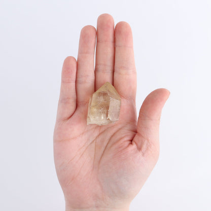Congo Citrine Set of 35