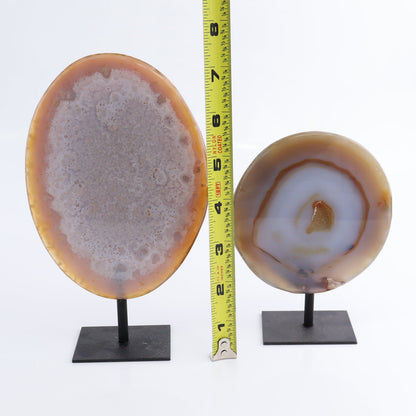 Agate on Pins Set of 5 - Expert Wholesale and Supplier of Wholesale Crystals & Bulk Gemstones, ["Agate","Brazil","close_50","On Pins"]