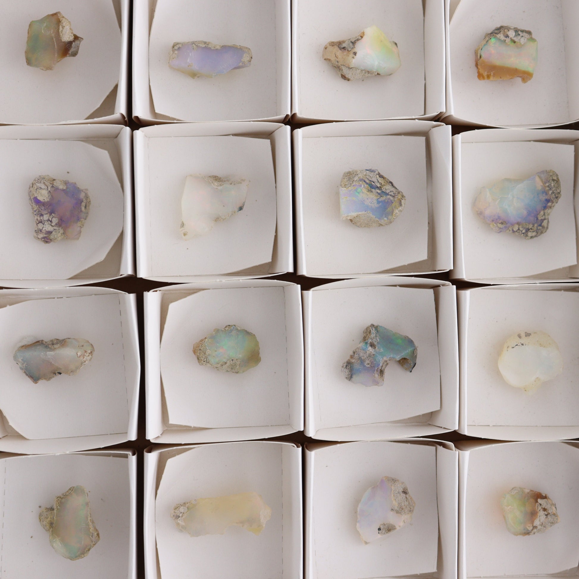 Ethiopian Opal Set of 24 - Expert Wholesale and Supplier of Wholesale Crystals & Bulk Gemstones, ["Ethiopia","ethiopian opal","Opal"]