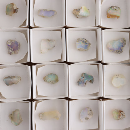 Ethiopian Opal Set of 24 - Expert Wholesale and Supplier of Wholesale Crystals & Bulk Gemstones, ["Ethiopia","ethiopian opal","Opal"]
