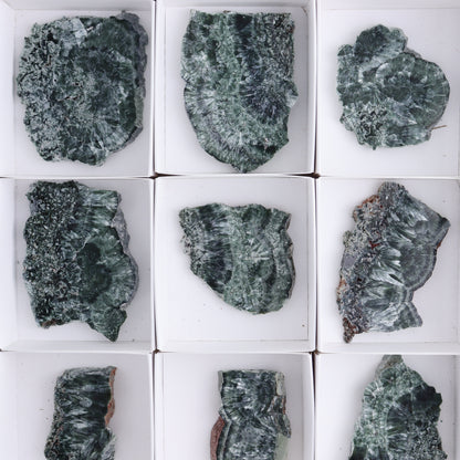 Seraphinite Slices Set of 12