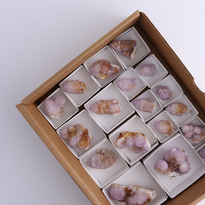 Cactus Quartz Set of 18 - Expert Wholesale and Supplier of Wholesale Crystals & Bulk Gemstones, ["cactus quartz","Quartz","South Africa"]