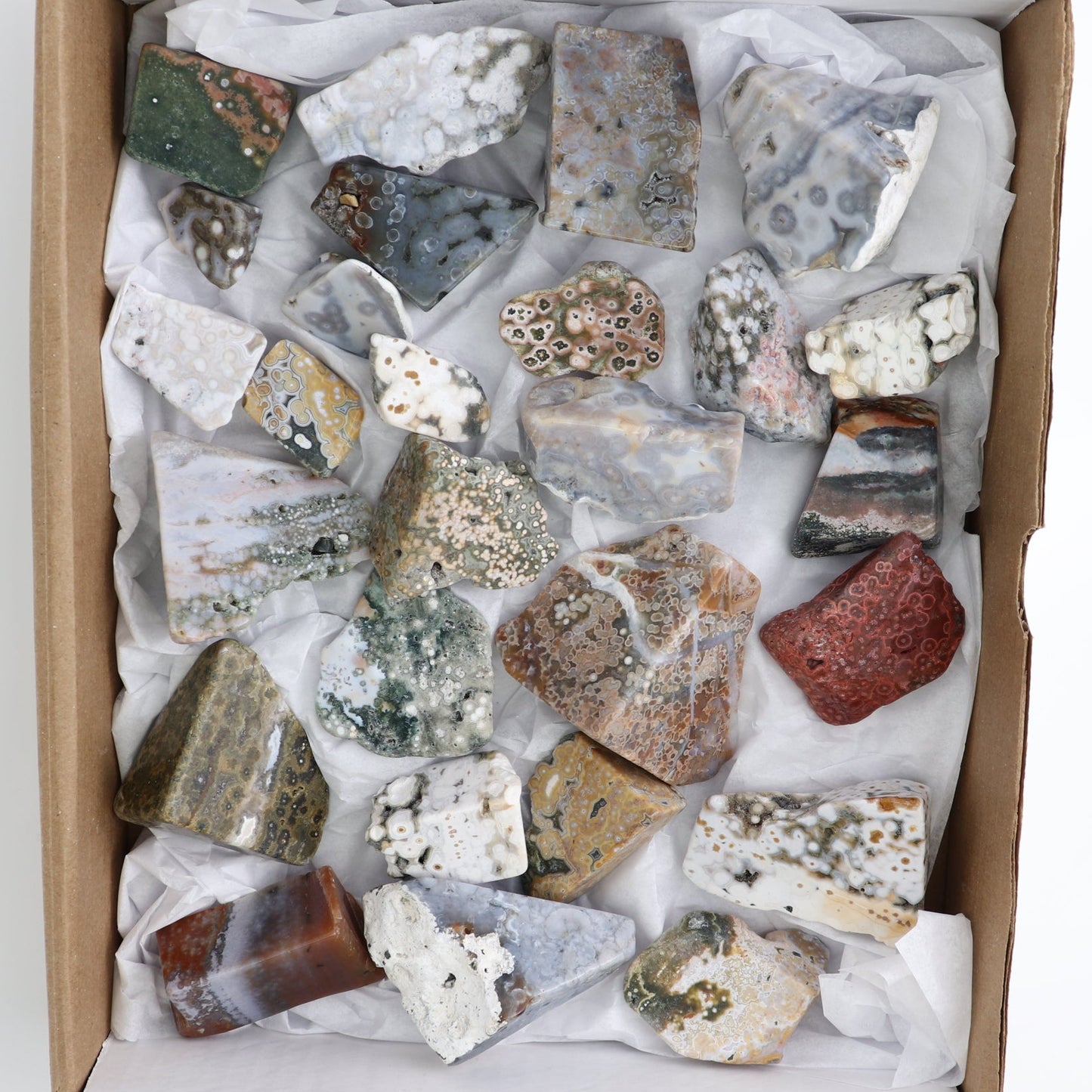Ocean Jasper Freeforms Flat