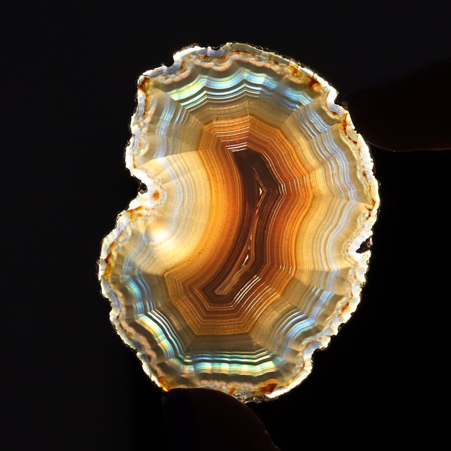 Iris Agate Slices Set of 8 - Expert Wholesale and Supplier of Wholesale Crystals & Bulk Gemstones, ["Agate","Iris Agate","Slices and Slabs"]