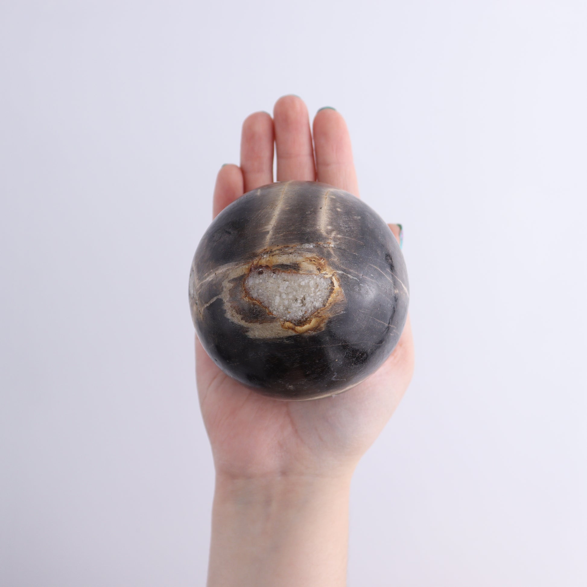Petrified Wood Spheres Set of 4 - Expert Wholesale and Supplier of Wholesale Crystals & Bulk Gemstones, ["Indonesia","Petrified Wood","Spheres"]