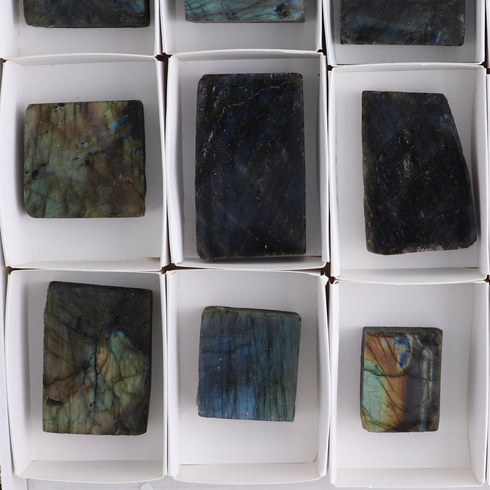 Labradorite Freeform Set of 16