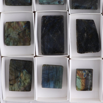 Labradorite Freeform Set of 16