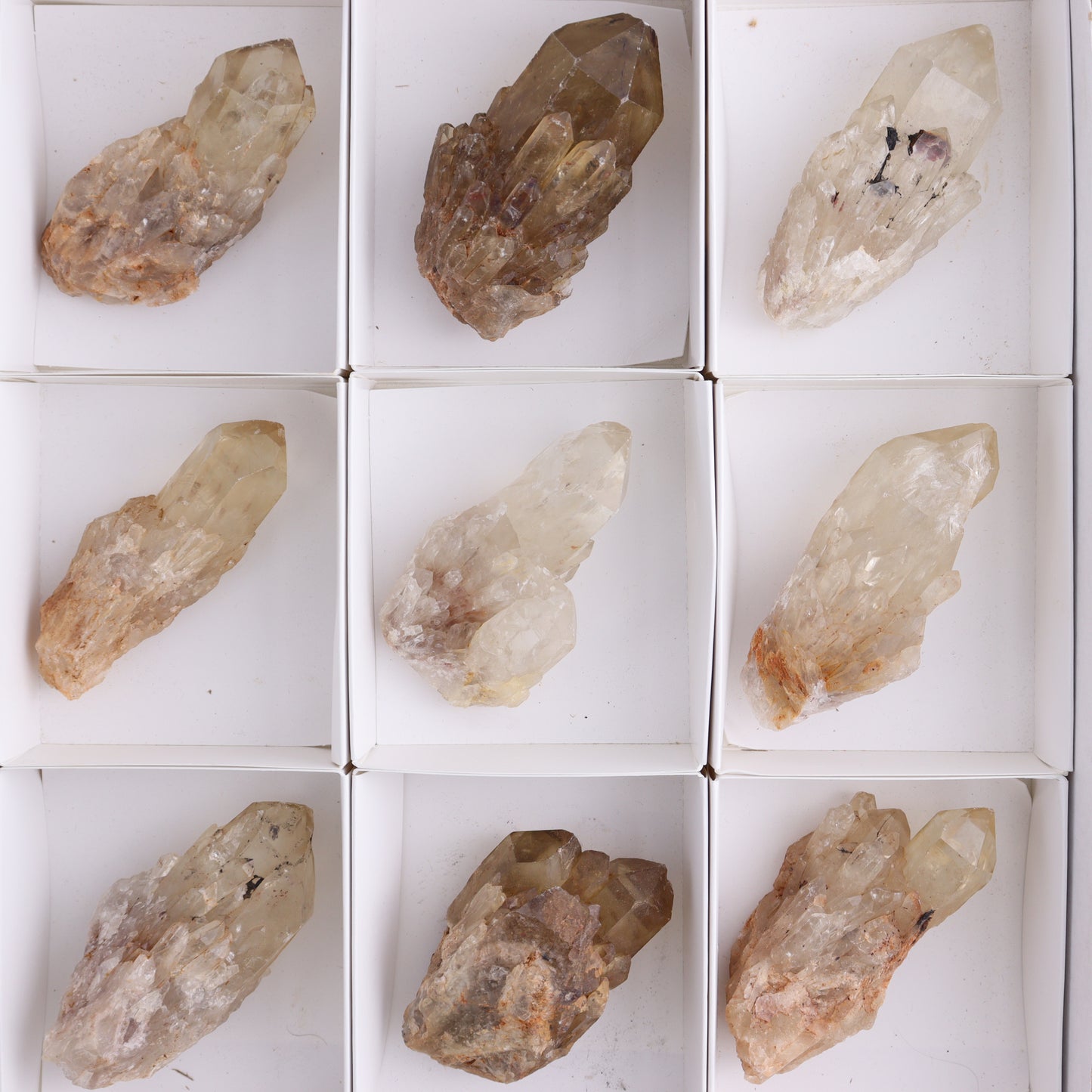 Congo Citrine Set of 12