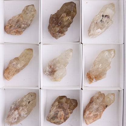 Congo Citrine Set of 12