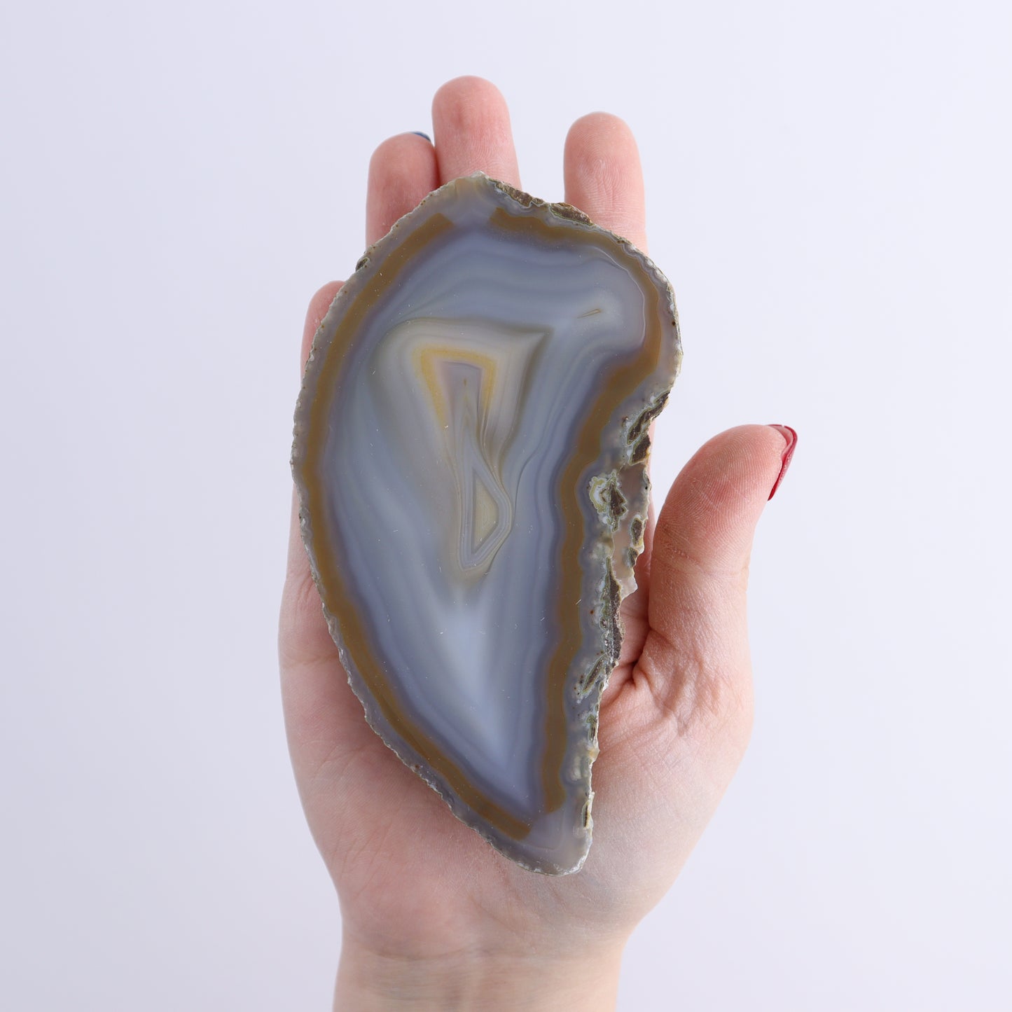 Agate Slices Set of 5 - Expert Wholesale and Supplier of Wholesale Crystals & Bulk Gemstones, ["Agate","Brazil","Slices and Slabs"]