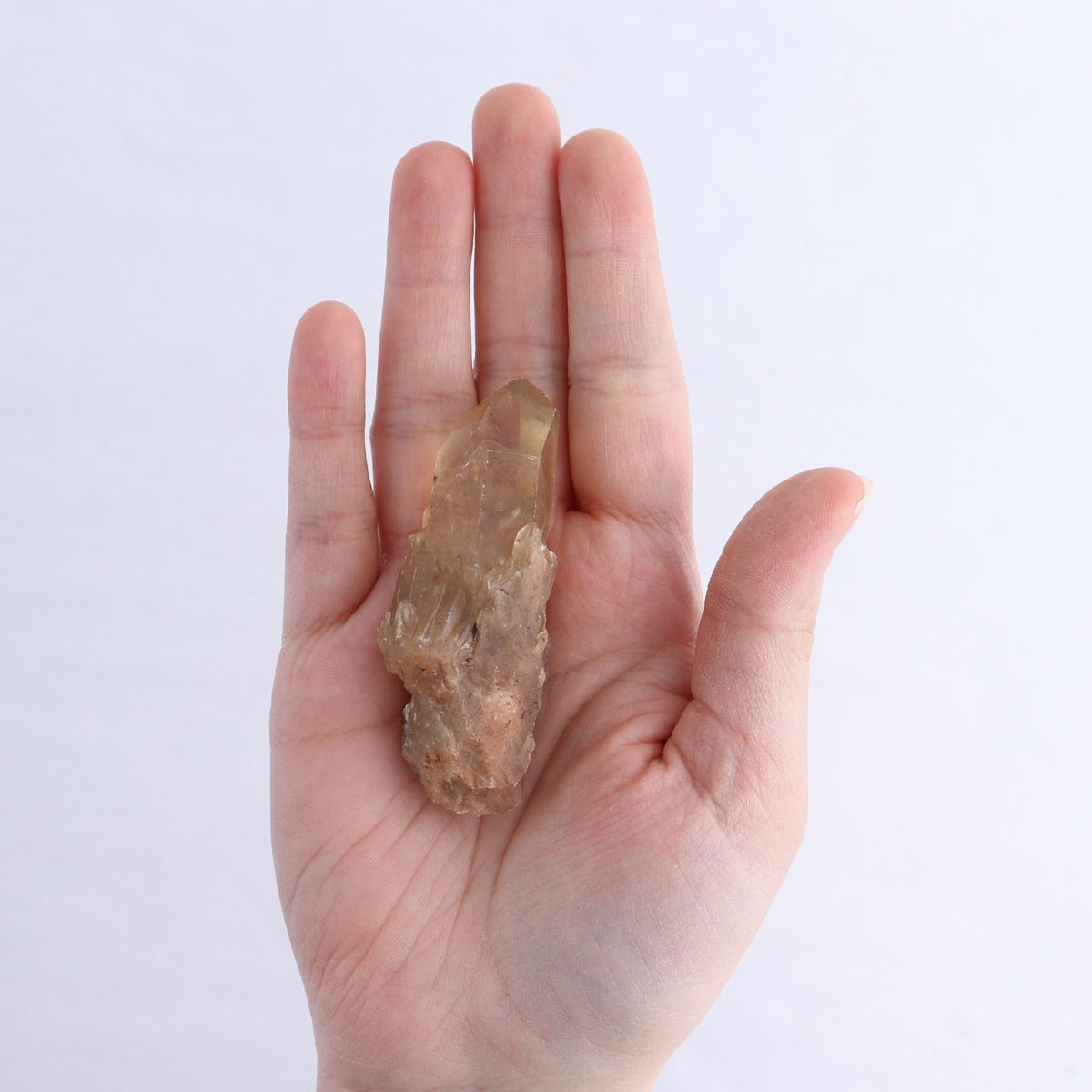 Congo Citrine Set of 35