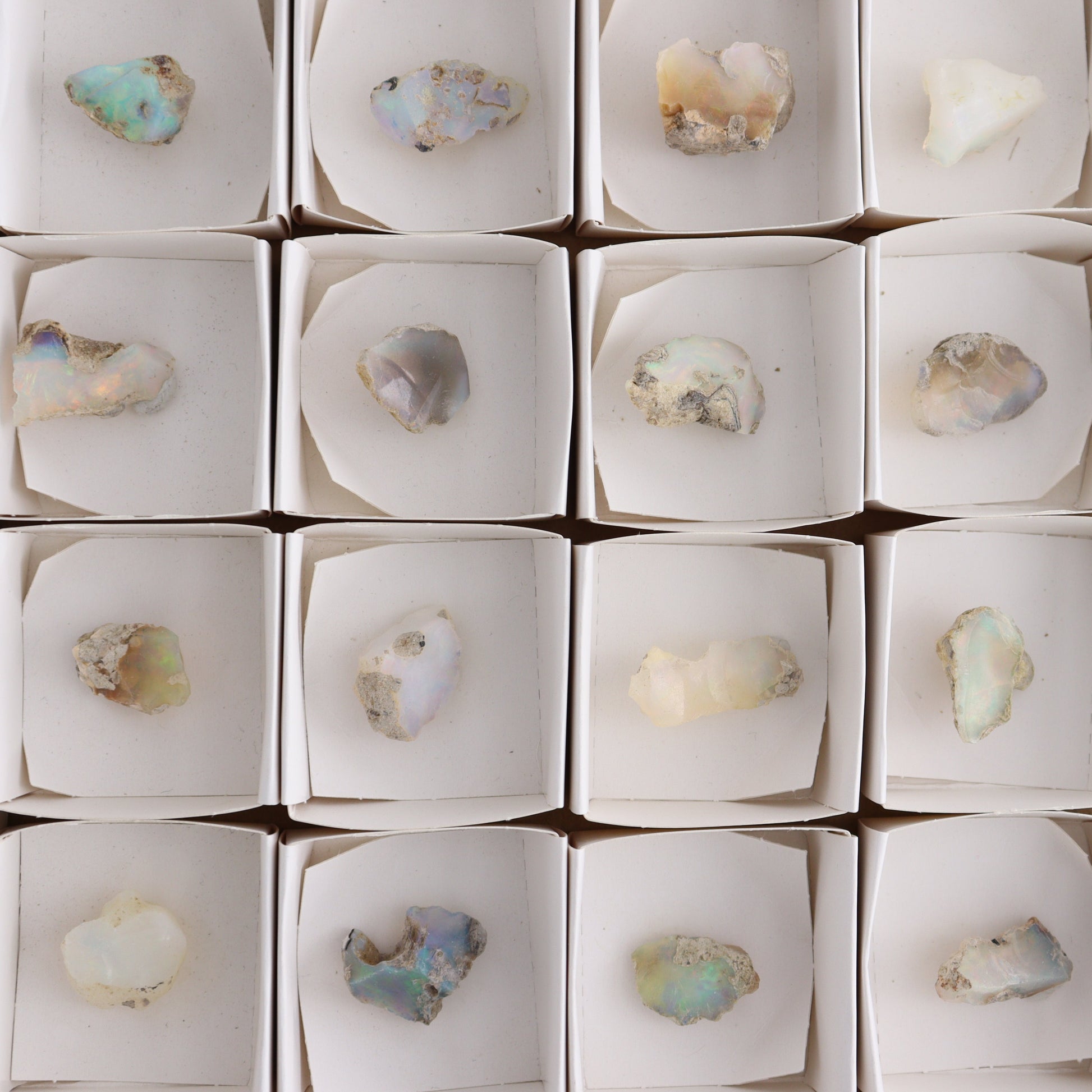 Ethiopian Opal Set of 24 - Expert Wholesale and Supplier of Wholesale Crystals & Bulk Gemstones, ["Ethiopia","ethiopian opal","Opal"]