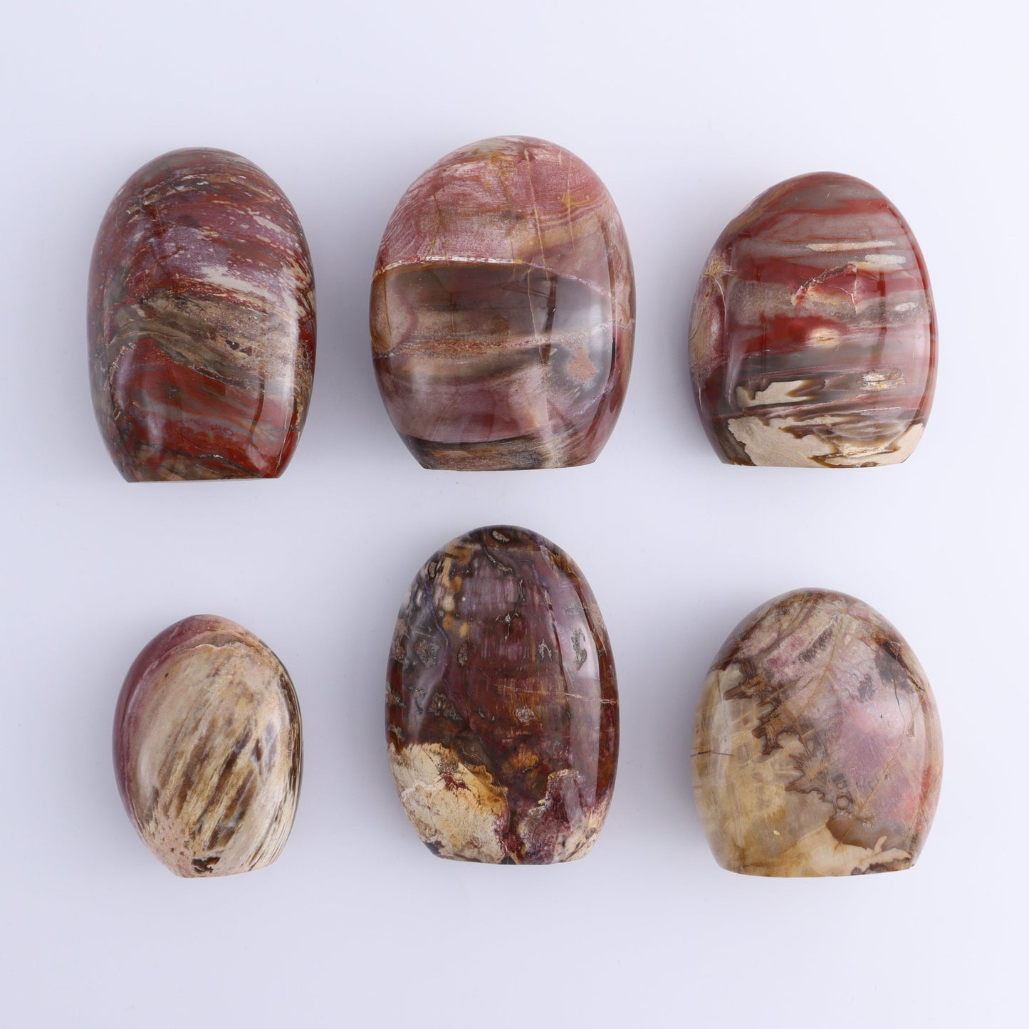 Petrified Wood Freeforms Set of 6 - Expert Wholesale and Supplier of Wholesale Crystals & Bulk Gemstones, ["Freeform","Freeforms","Madagascar","Petrified Wood"]