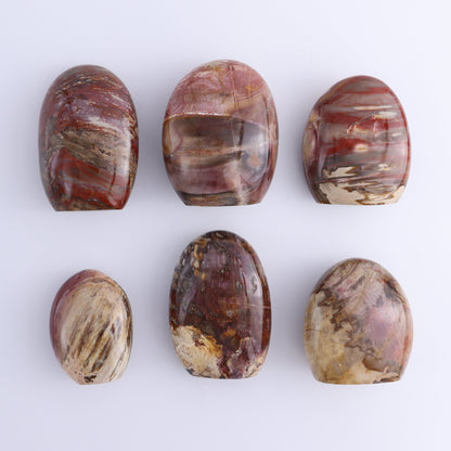 Petrified Wood Freeforms Set of 6 - Expert Wholesale and Supplier of Wholesale Crystals & Bulk Gemstones, ["Freeform","Freeforms","Madagascar","Petrified Wood"]