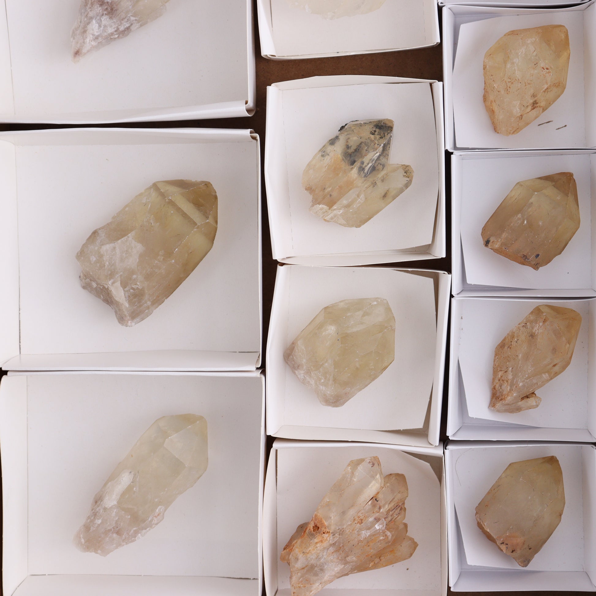 Congo Citrine Set of 12 - Expert Wholesale and Supplier of Wholesale Crystals & Bulk Gemstones, ["Citrine","Congo","Rough","Roughs"]