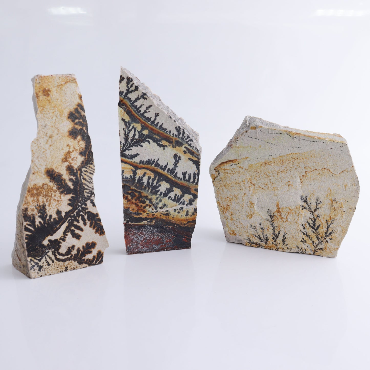 Dendrites Flat Set of 6 - Expert Wholesale and Supplier of Wholesale Crystals & Bulk Gemstones, ["Dendrite","Flats"]