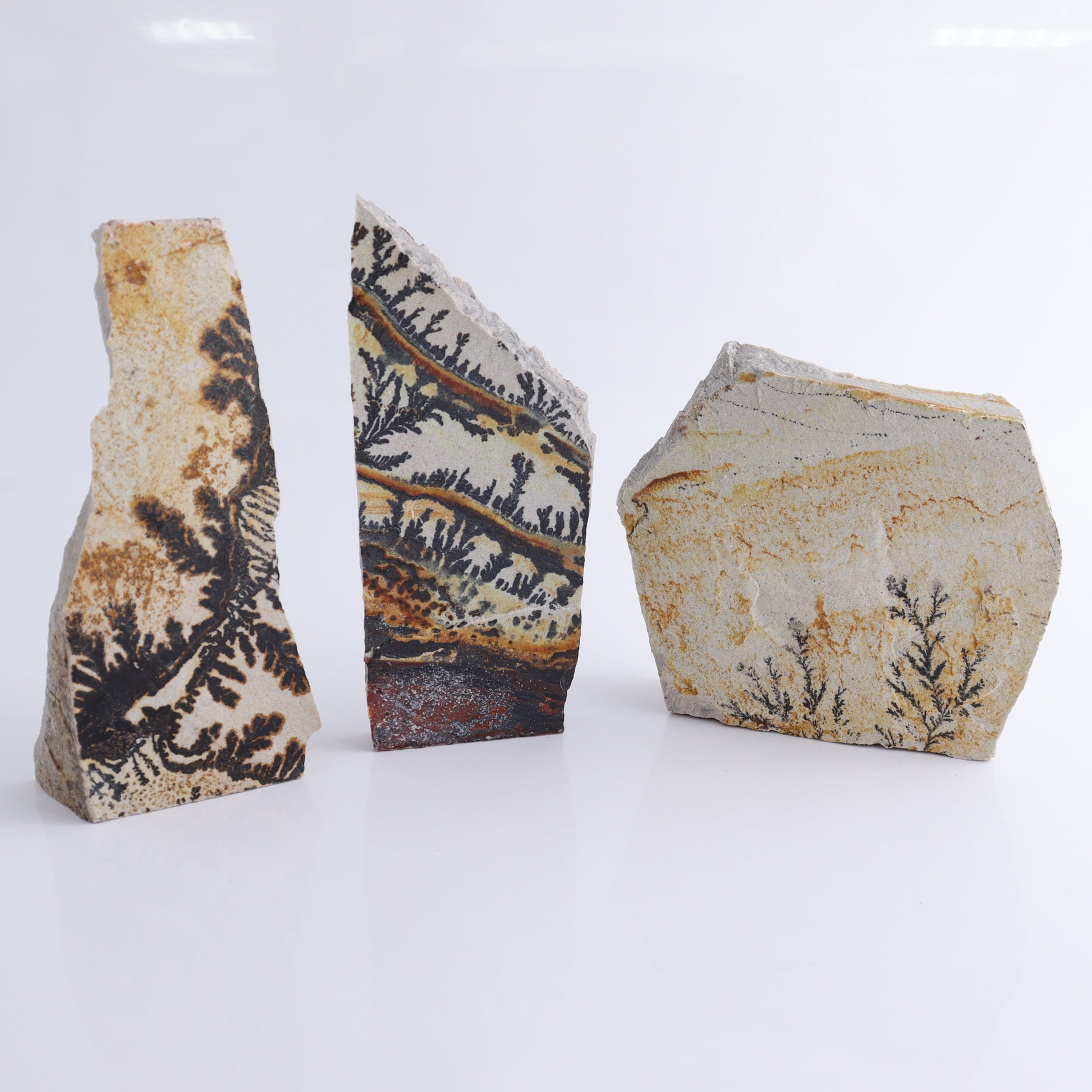 Dendrites Flat Set of 6 - Expert Wholesale and Supplier of Wholesale Crystals & Bulk Gemstones, ["Dendrite","Flats"]