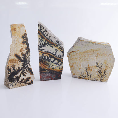 Dendrites Flat Set of 6 - Expert Wholesale and Supplier of Wholesale Crystals & Bulk Gemstones, ["Dendrite","Flats"]