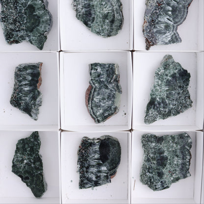 Seraphinite Slices Set of 12