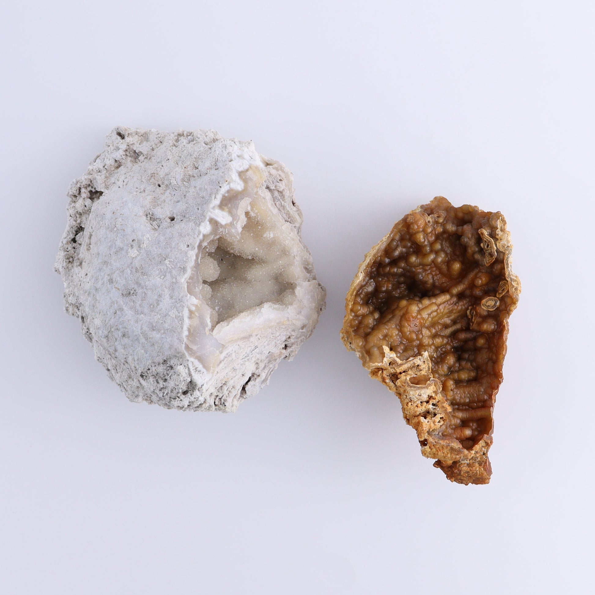 Agatized Coral Flat - Expert Wholesale and Supplier of Wholesale Crystals & Bulk Gemstones, ["Agate","Agatized Coral","Coral","United States"]