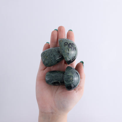 Kambaba Jasper Mushrooms Set of 8 - Expert Wholesale and Supplier of Wholesale Crystals & Bulk Gemstones, ["Kambaba Jasper","Madagascar","Mushrooms"]