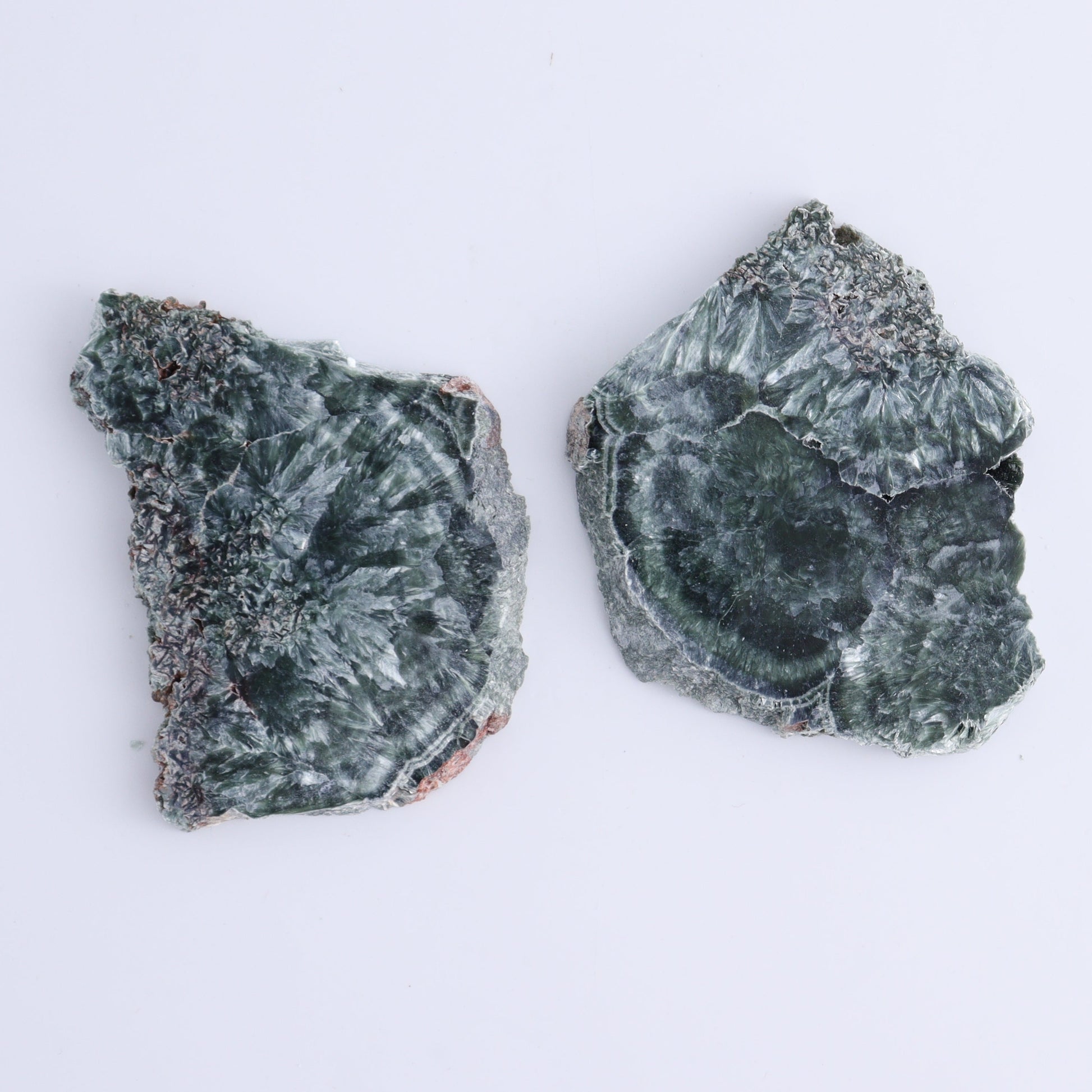 Seraphinite Slices Set of 12 - Expert Wholesale and Supplier of Wholesale Crystals & Bulk Gemstones, ["Russia","Seraphinite","Slices and Slabs"]
